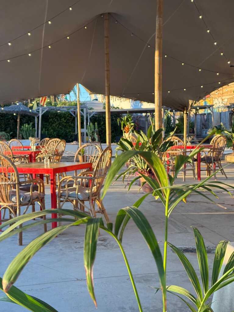 a81b8809-3b94-403c-88f6-9b478550cbdb