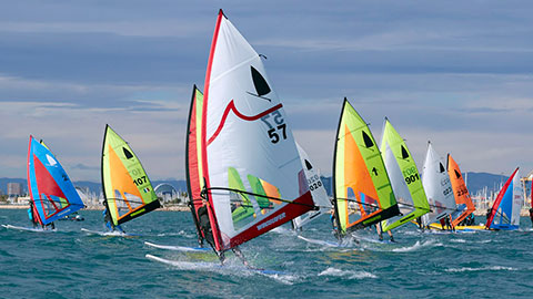 Windsurfer Drassana i Club de Patí Vela Català